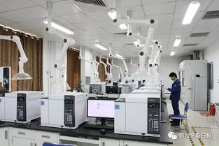 一季度鄂爾多斯經濟運行總體平穩向好，計算機系統集成產業展現活力