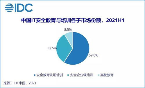 IDC報(bào)告揭示 2021上半年中國(guó)網(wǎng)絡(luò)安全服務(wù)市場(chǎng)迎爆發(fā)，網(wǎng)絡(luò)與信息安全軟件開(kāi)發(fā)成核心引擎